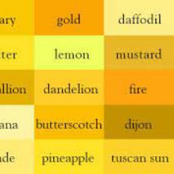 Clothing || Ties & Scarves - Picture 14 of 14